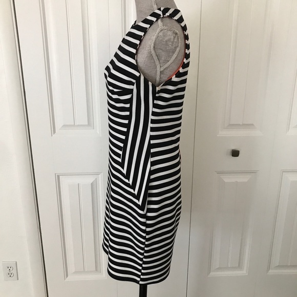 Sharagano🌺 Women’s B & W Striped Textured dress 6 - Picture 5 of 7